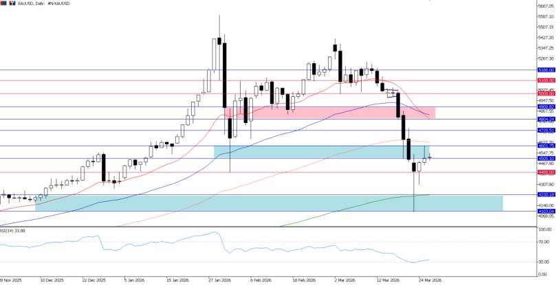 2026年3月26日市场报告