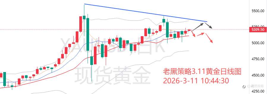 老黑策略：3.11外汇、黄金、原油分析策略