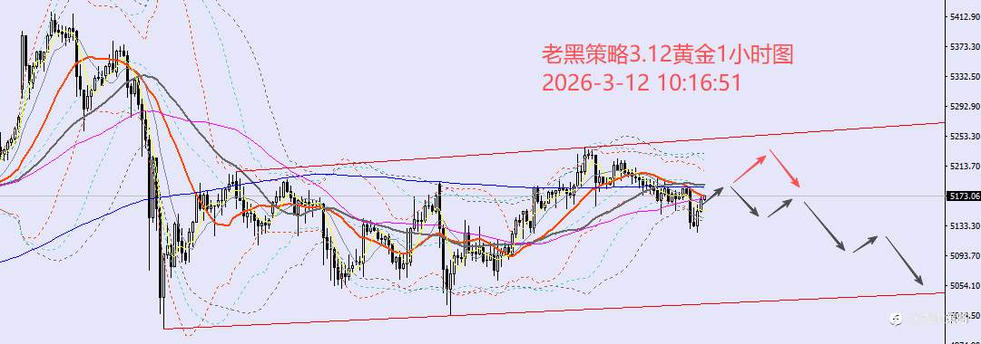 老黑策略：3.12外汇、黄金、原油分析策略
