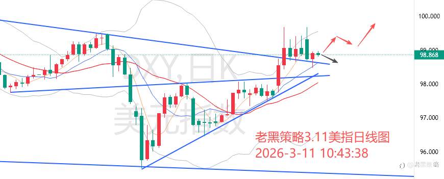 老黑策略：3.11外汇、黄金、原油分析策略