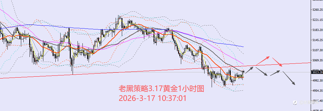 老黑策略：3.17外汇、黄金、原油分析策略