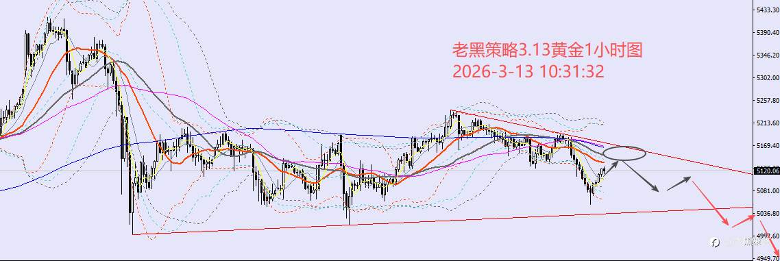 老黑策略：3.13外汇、黄金、原油分析策略