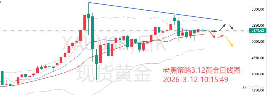 老黑策略：3.12外汇、黄金、原油分析策略