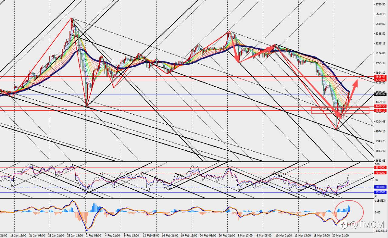 TMGM：金价暴跌触底后V型反弹！特朗普停火谈判能否扭转乾坤？