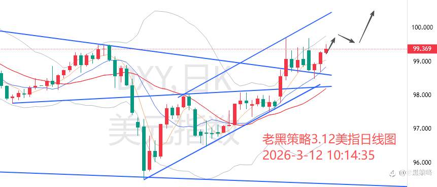 老黑策略：3.12外汇、黄金、原油分析策略