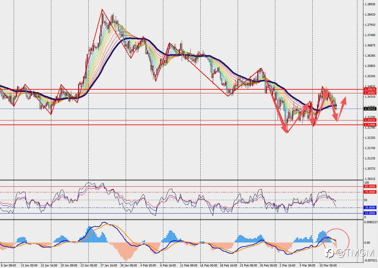 TMGM每日市场3月12日