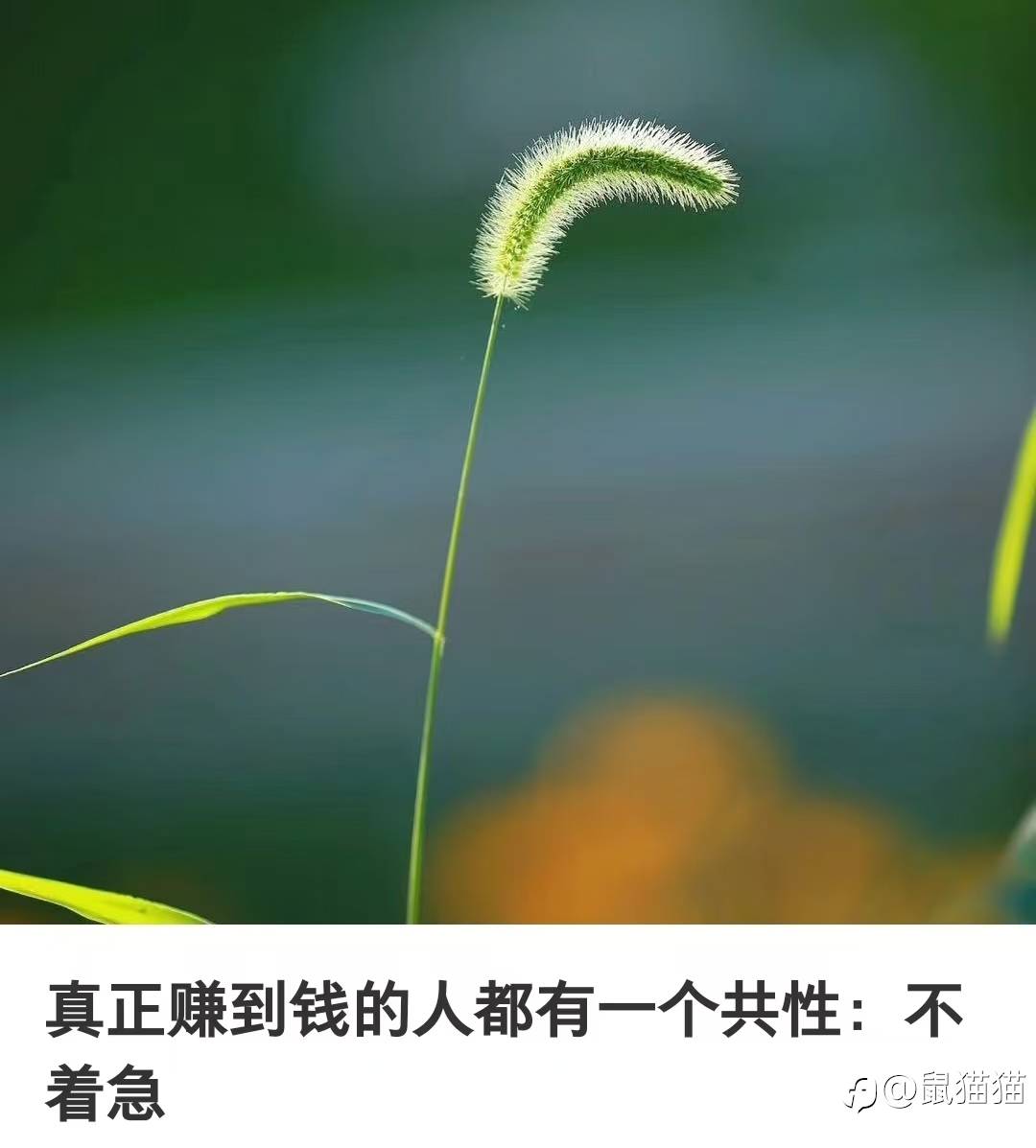 5000上方的黄金，正拉着无数人跳舞