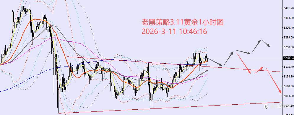 老黑策略：3.11外汇、黄金、原油分析策略
