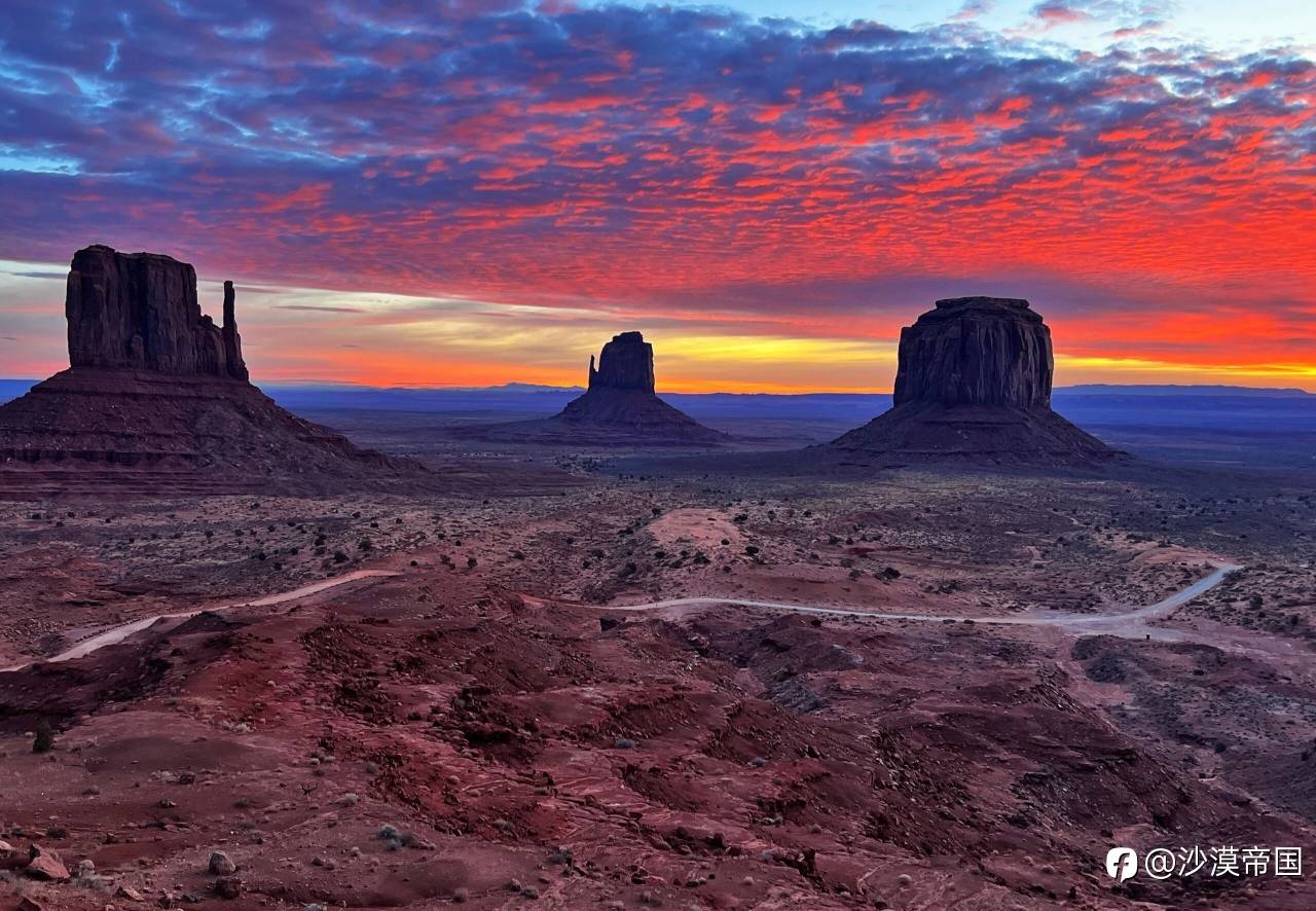 2026.3.9 外汇每日交易策略