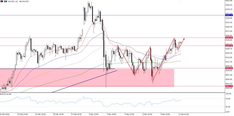 2026年3月11日市场报告