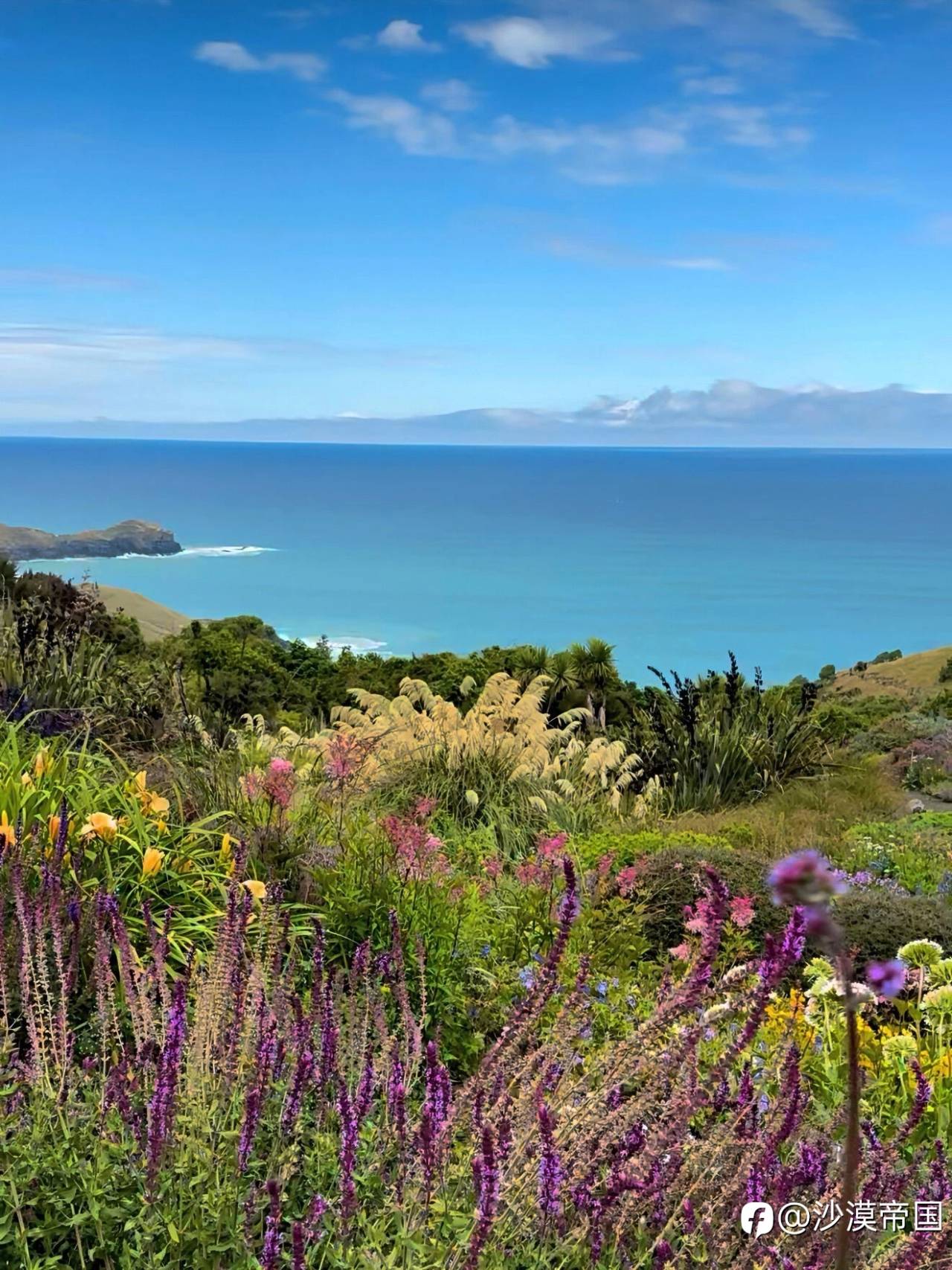 2026.3.13 外汇每日交易策略