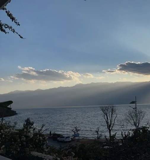 上周，他7手空单挣19万美元！