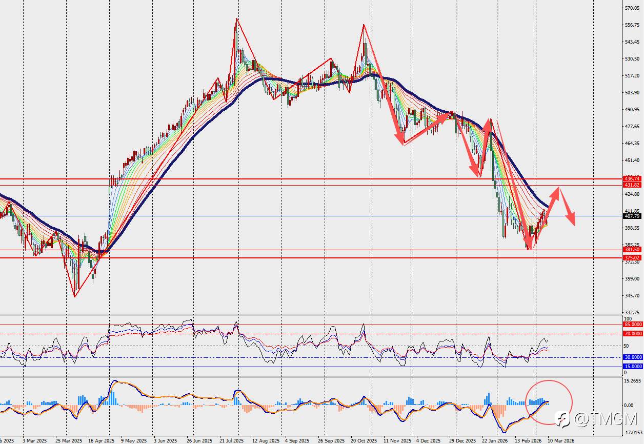TMGM每日市场3月10日