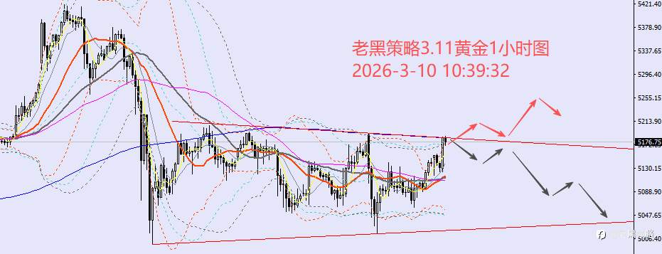 老黑策略：3.10外汇、黄金、原油分析策略