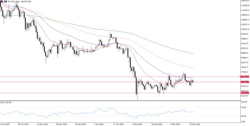 2026年3月25日市场报告