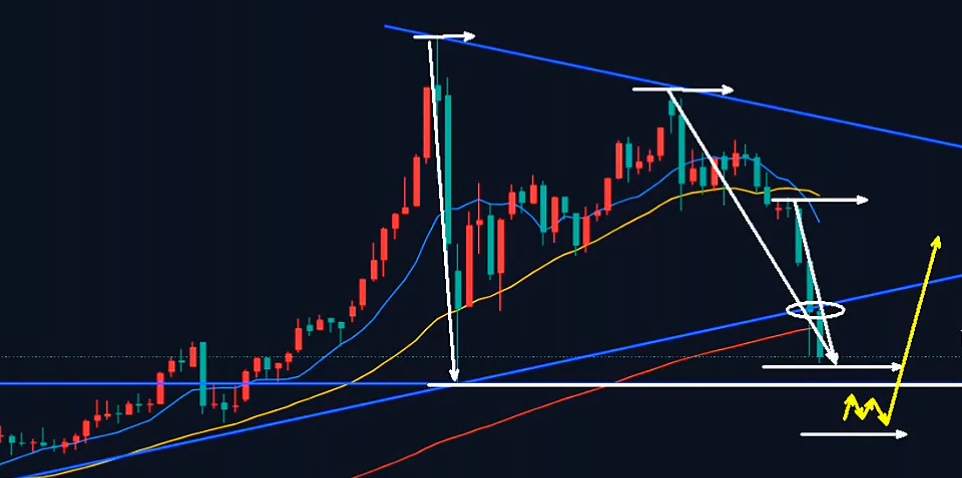 万锦晟3.22黄金大跌牛市还在吗？底部位置在哪里？