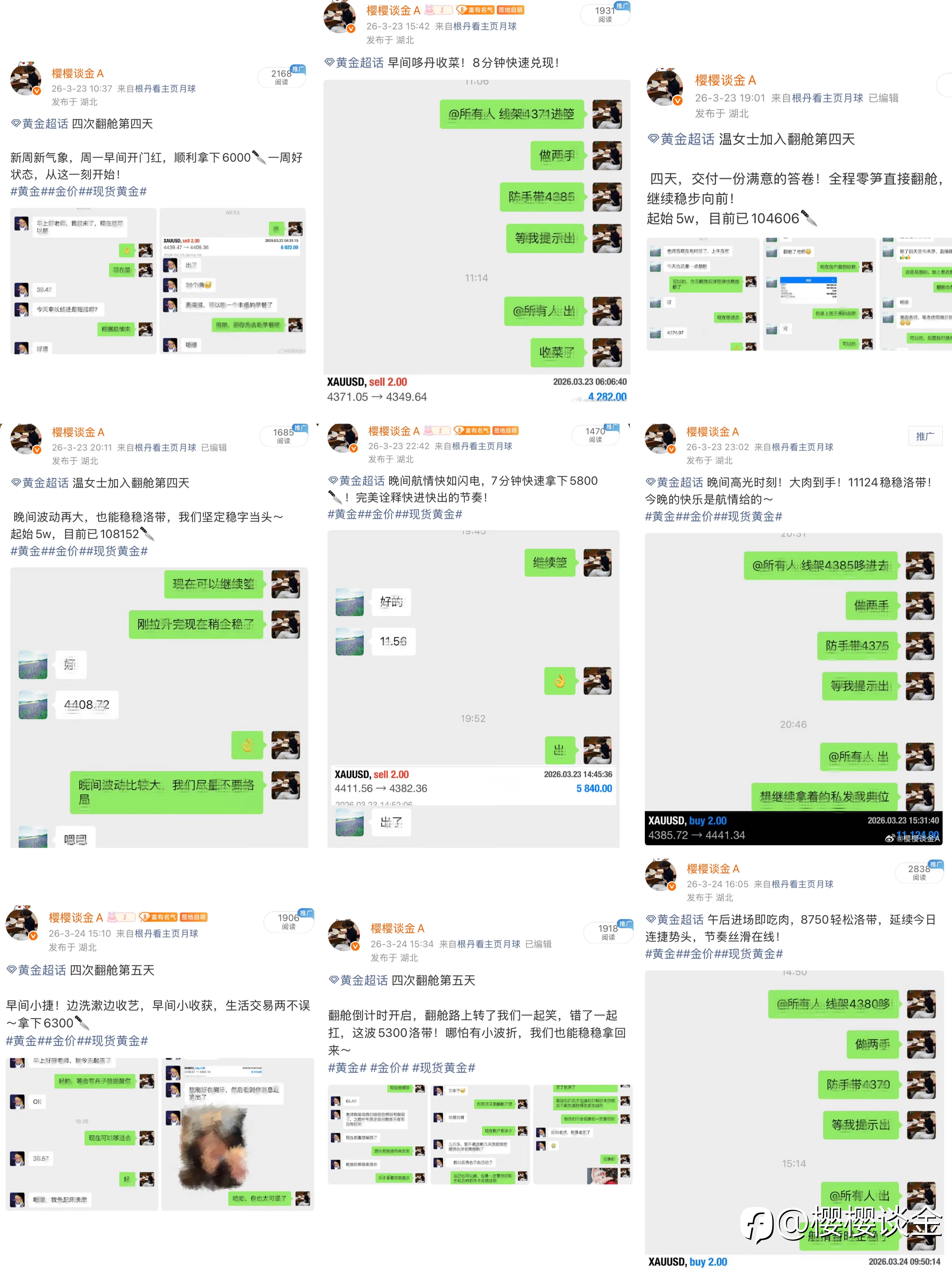 樱姐黄金交易周总结