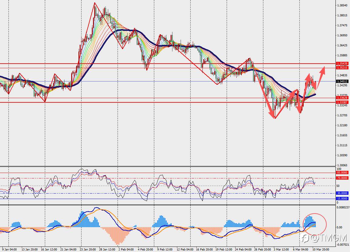 TMGM每日市场3月11日