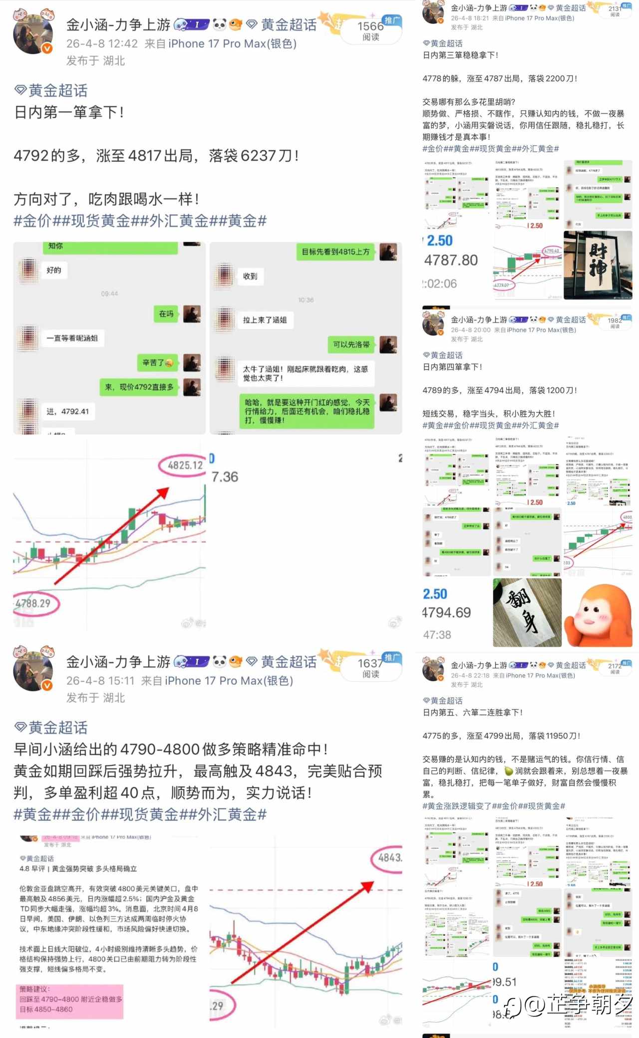 feed-image-2