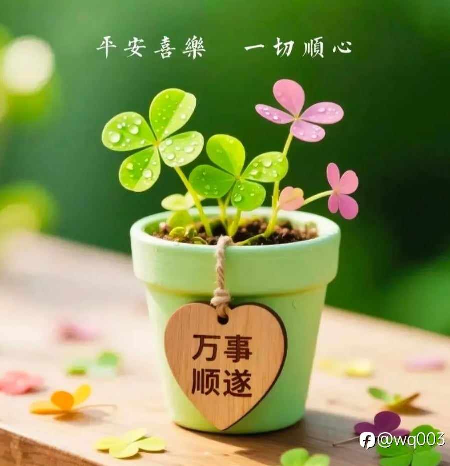 长线带来空间与利润的果，却是超强耐力和耐心的因。