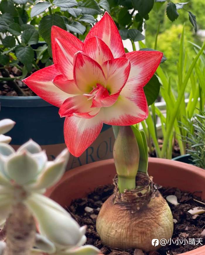 黄金波段：与市场节奏共舞