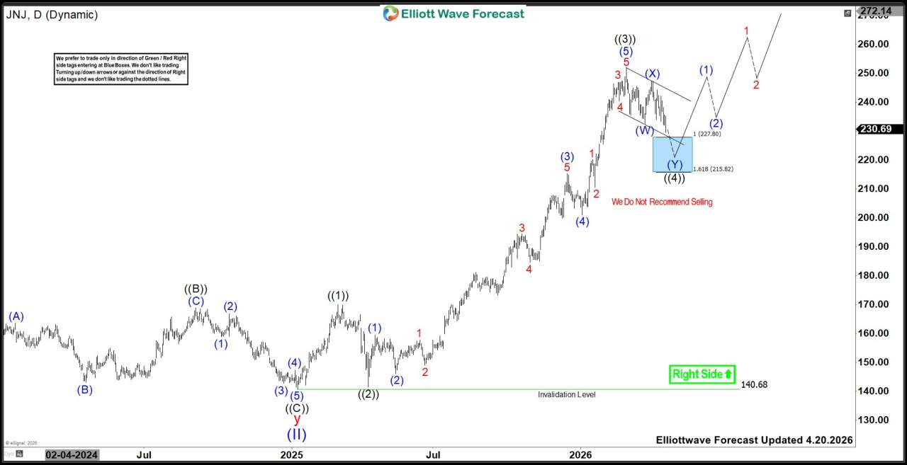 Johnson & Johnson (JNJ) Forecast: Buyers Should Enter Between 227.8 - 215.8 Area