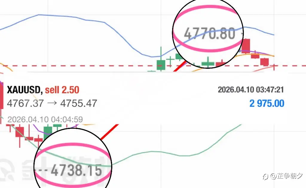 这行情给小涵玩明白了!