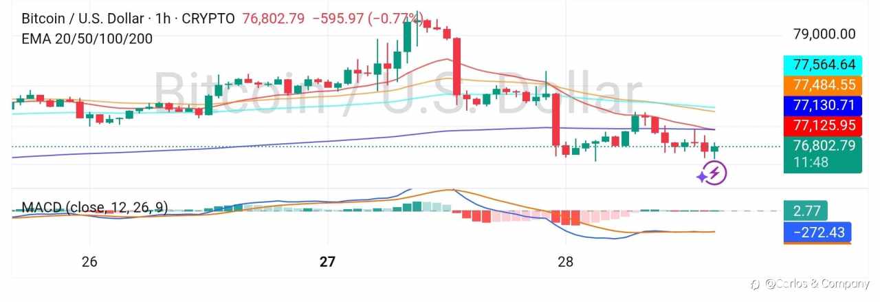 BTCUSD Update — Bullish Structure Holding Below Major Resistance