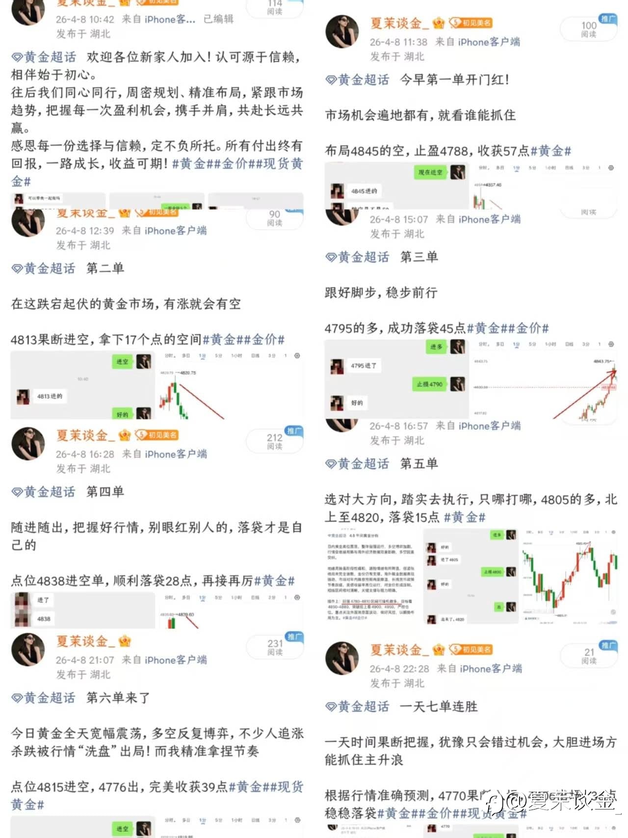 4.8黄金战绩总结