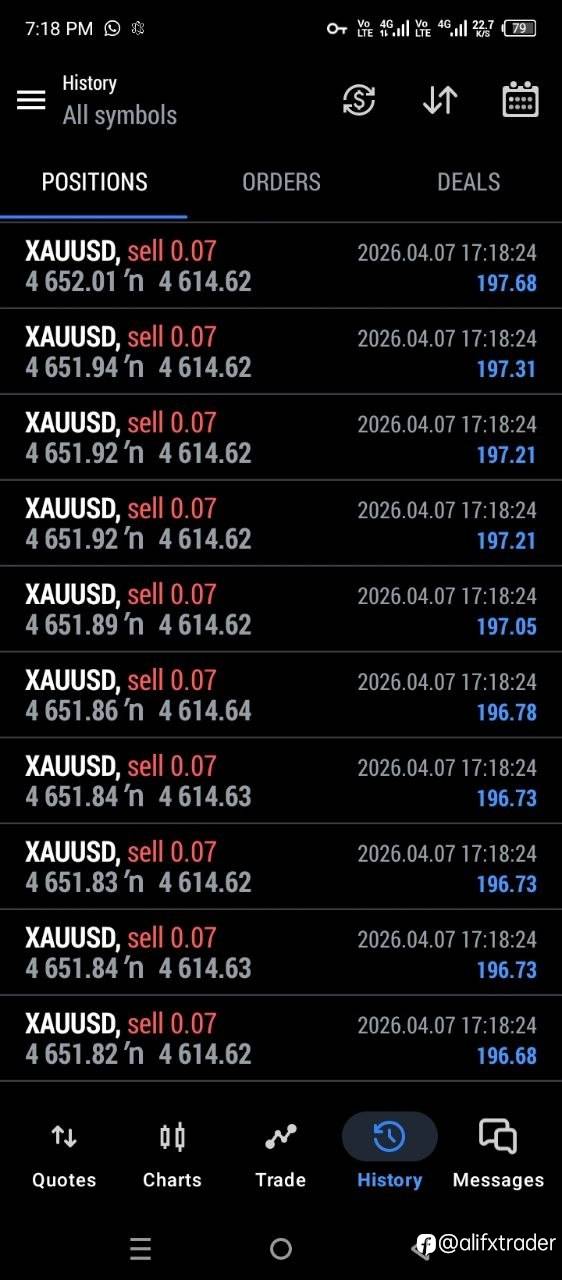 feed-image-2