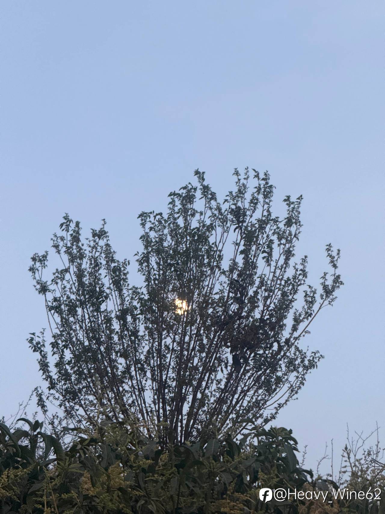 今天是我在Followme的第一条动态，想跟大家聊聊我这三年的交易路。