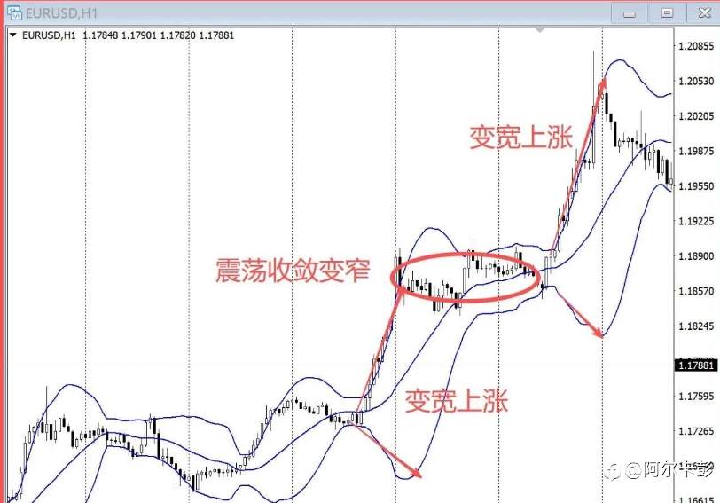 为什么很多人一用布林就亏？这才是正确用法