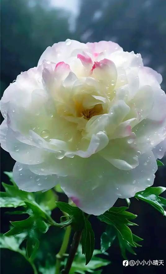 守住心中的K线：交易中的心态修炼