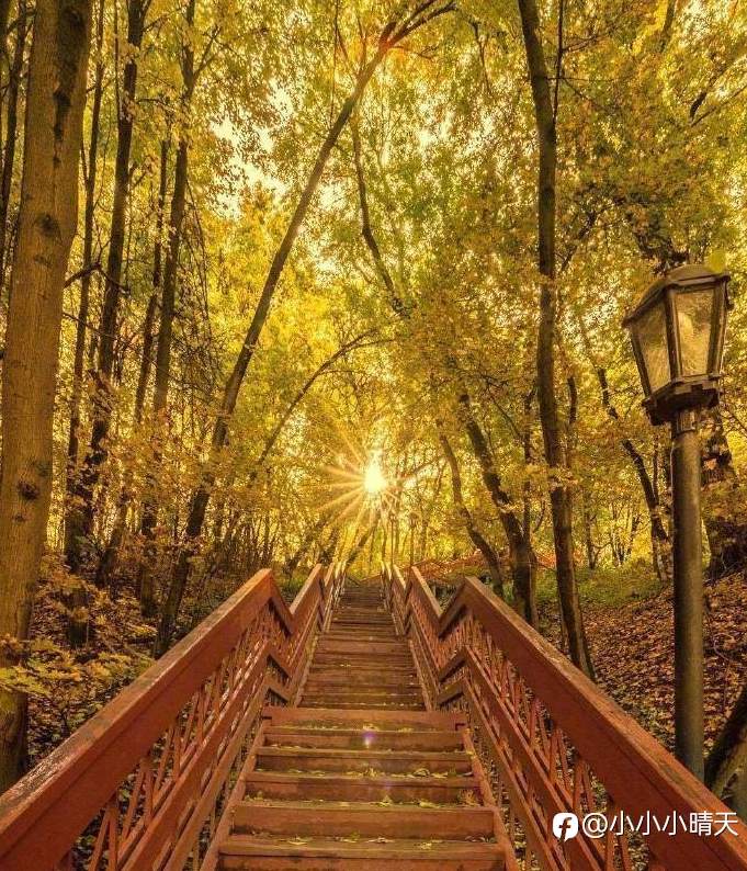 守心之道——伦敦金交易中的心态平衡