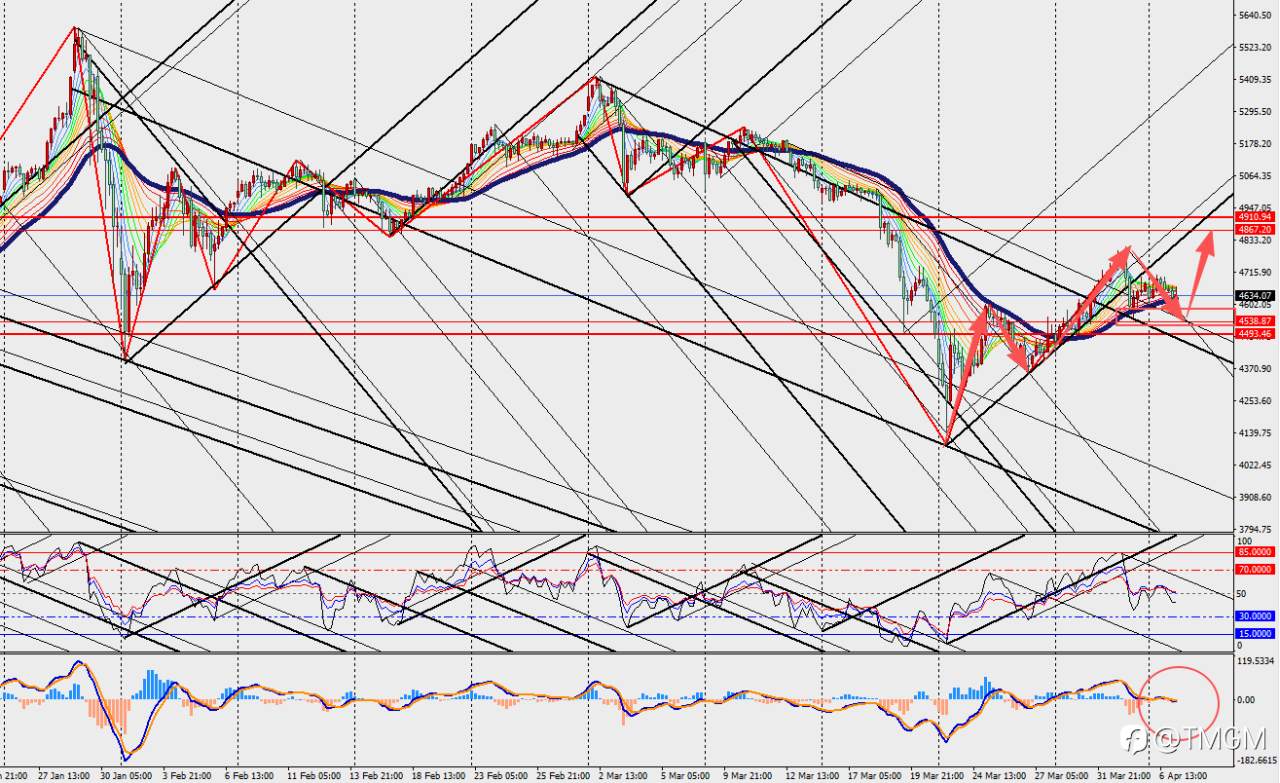 TMGM：特朗普最后通牒搅动中东局势，强势非农支撑美元，金价再度承压！