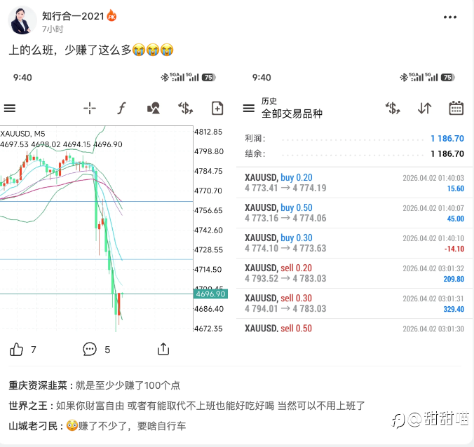 喵喵看汇友（十三）