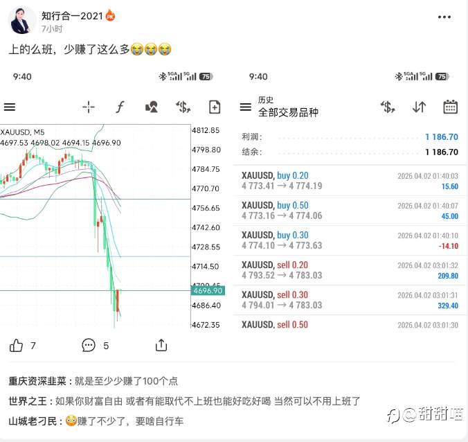 喵喵看汇友（十三）