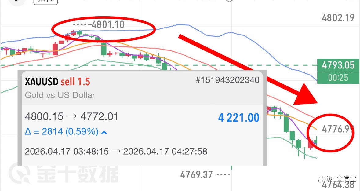 龙女士今日第一单胜!