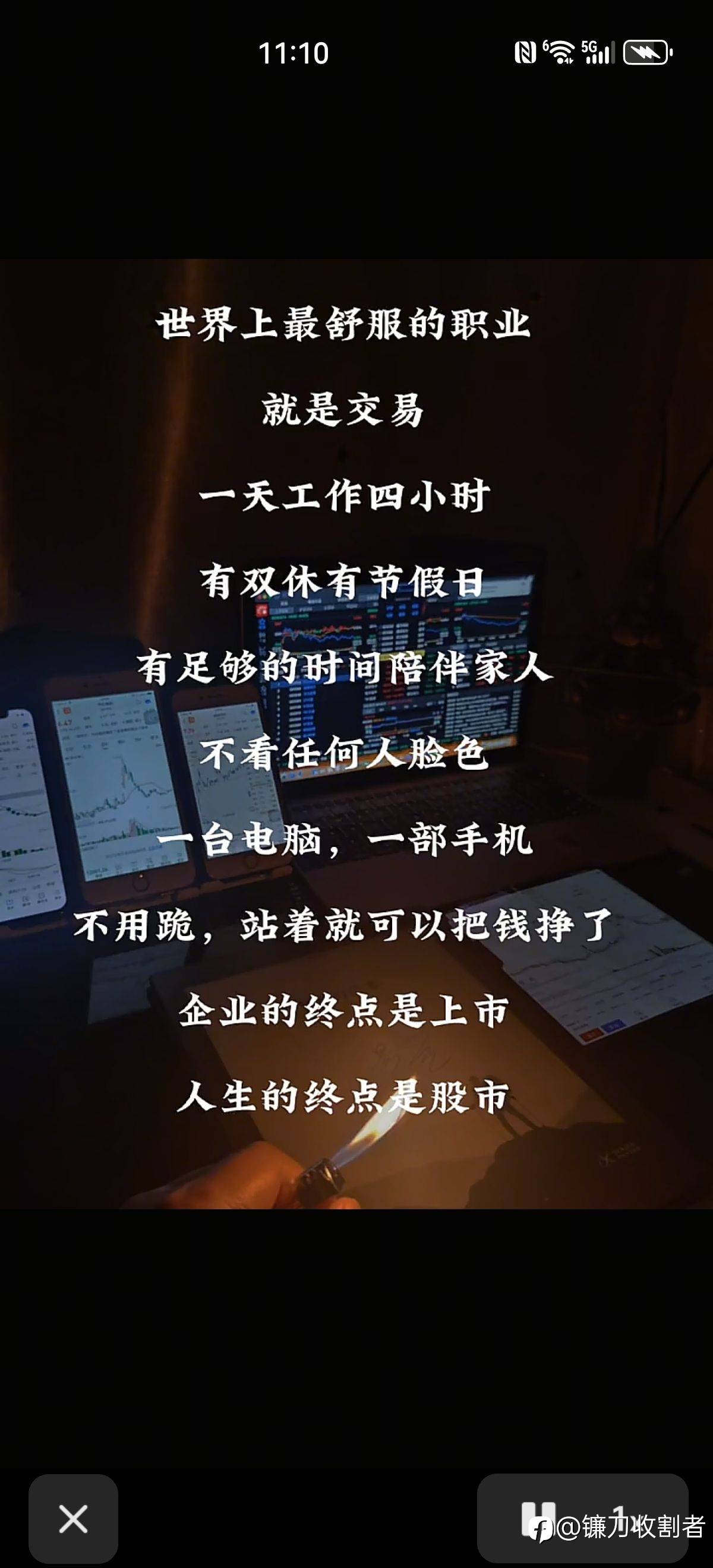 feed-image-1