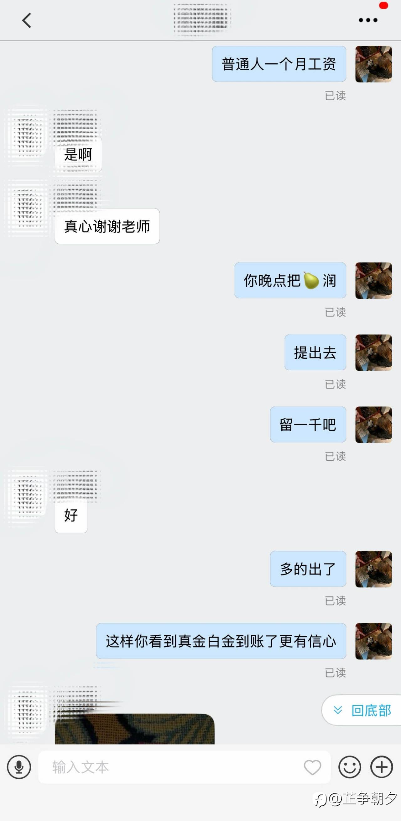 feed-image-1