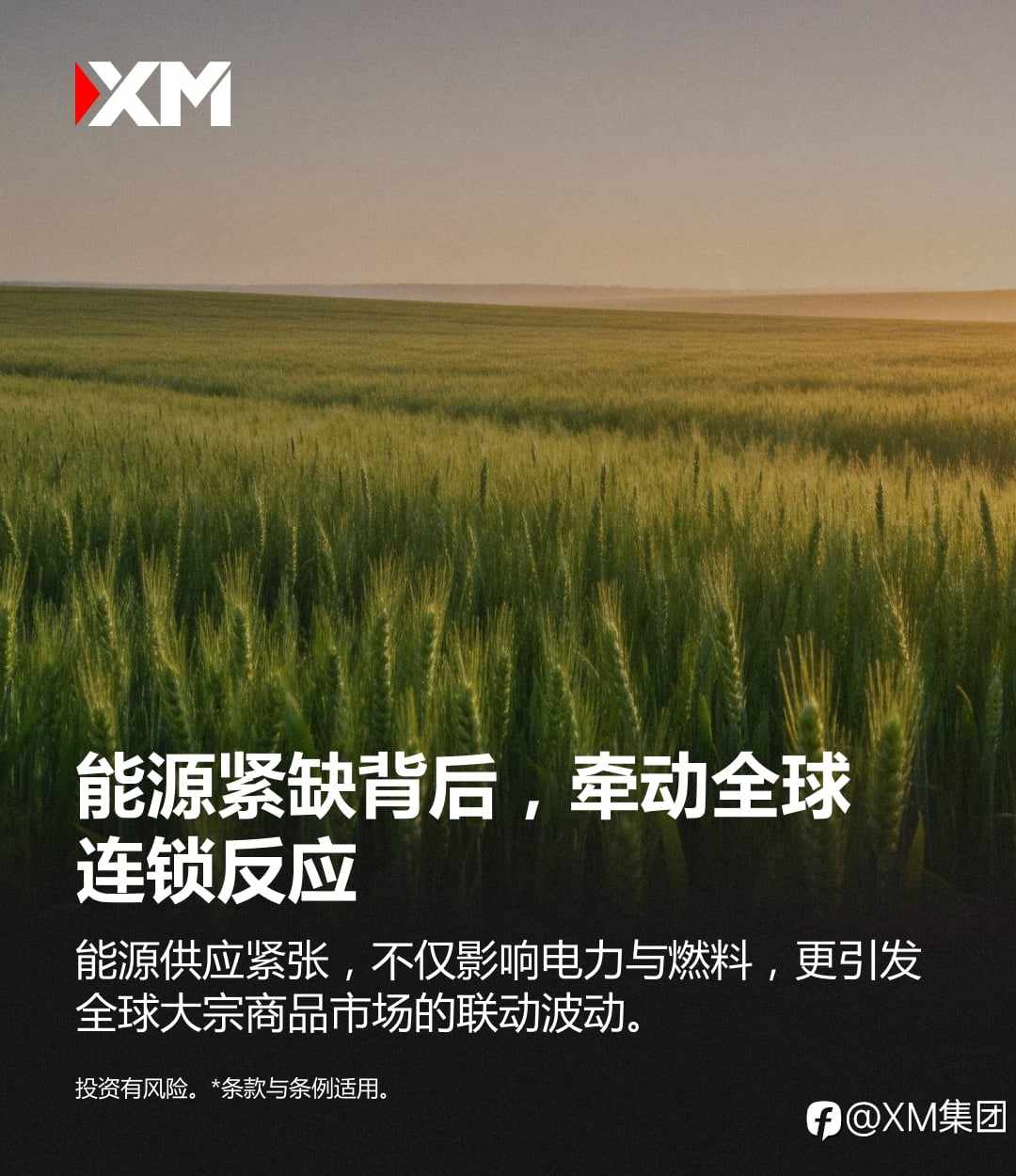 原油到粮食，你跟上行情了吗？