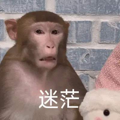 脸被抽肿,2026,还要继续梭!