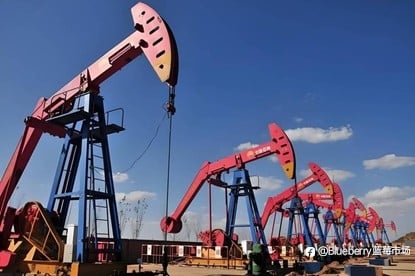 OPEC 3月原油产量创40年最大降幅，价格何去何从？