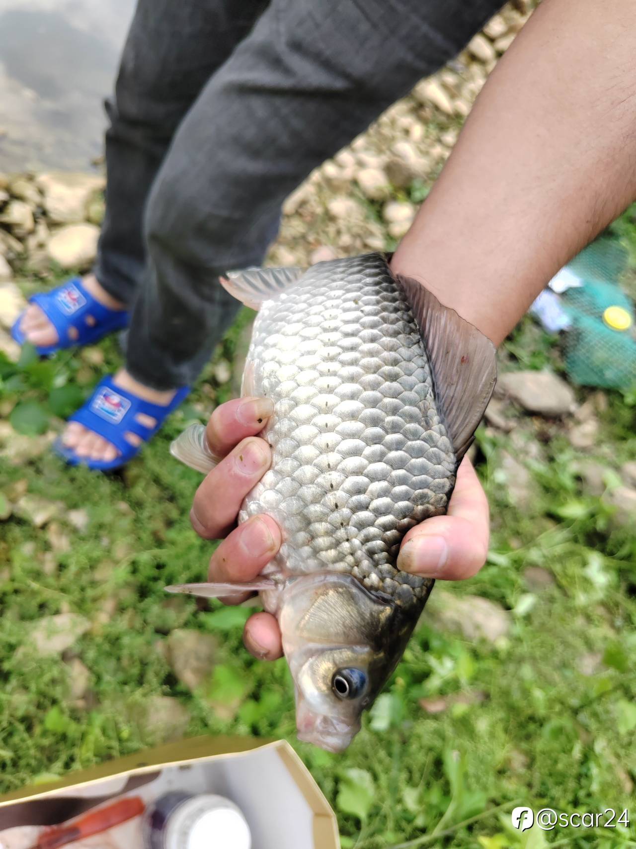 feed-image-1