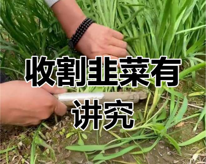 大师？扯淡！敞亮点，挨耳光不丢人！