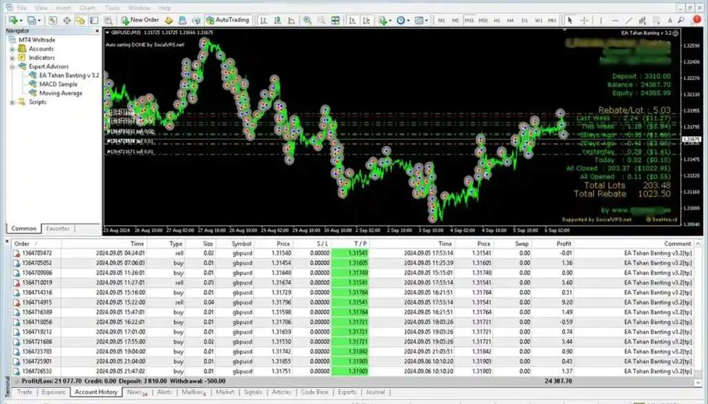 Download Robot Forex Gratis Terbaik 2026: Auto Trading Tanpa Modal Besar!