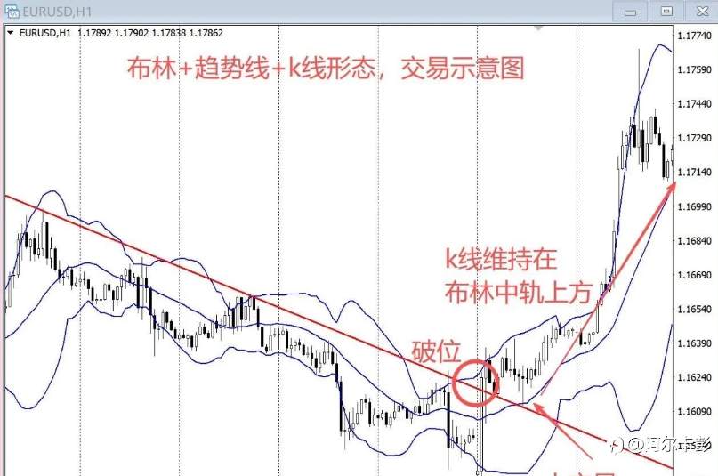 为什么很多人一用布林就亏？这才是正确用法