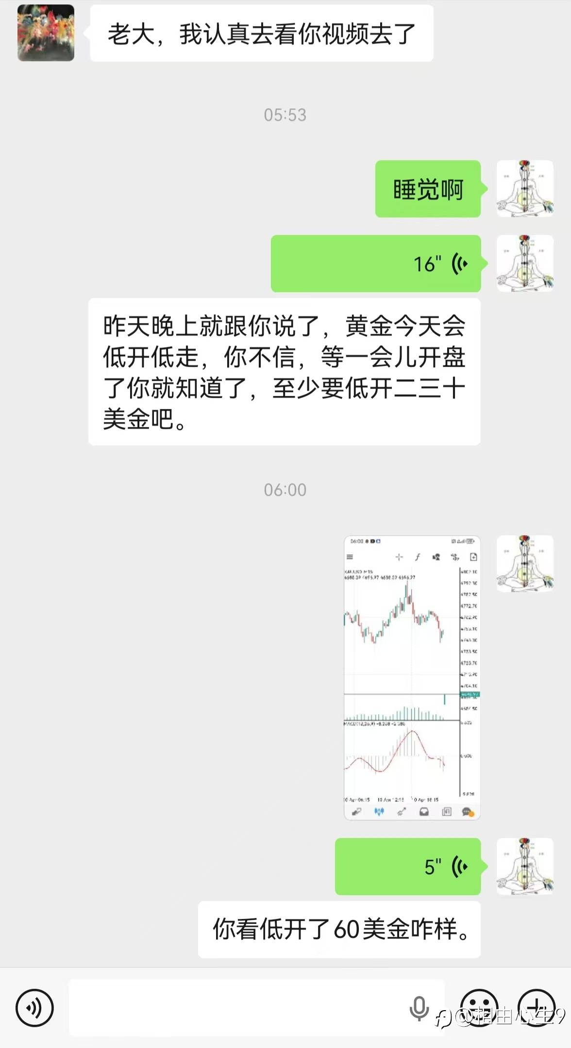 feed-image-2