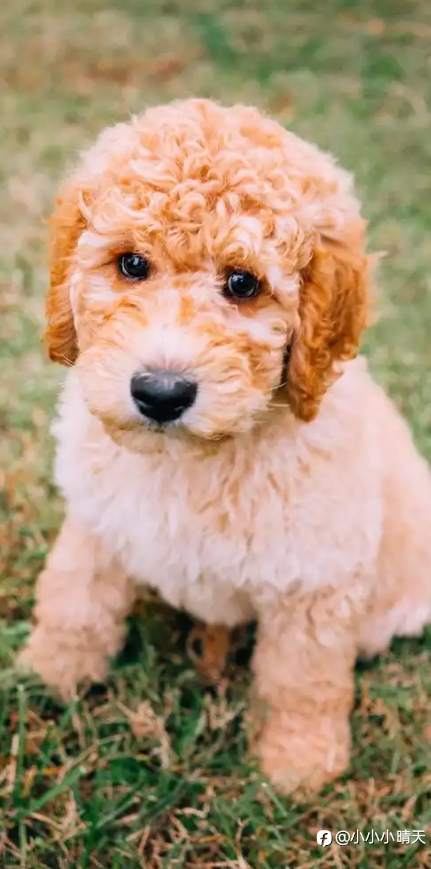 亏损：黄金交易中最好的老师