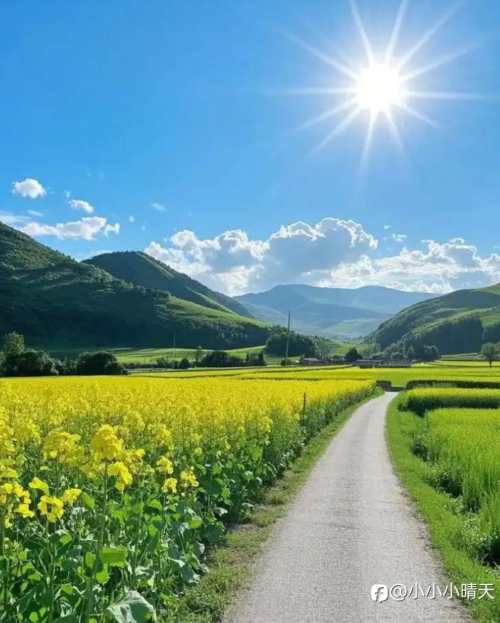 长线轻仓与短线重仓的取舍之道